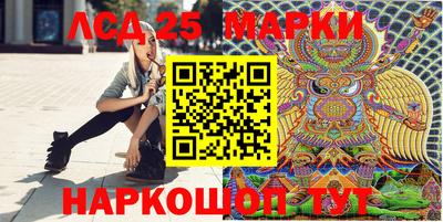 2c-b Камышлов