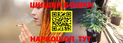 2c-b Камышлов