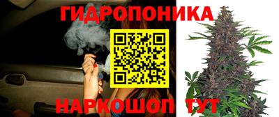 2c-b Камышлов
