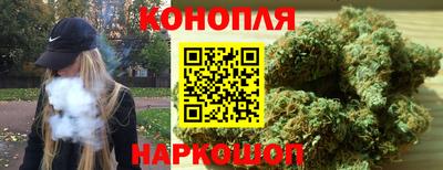 мяу мяу мука Кандалакша