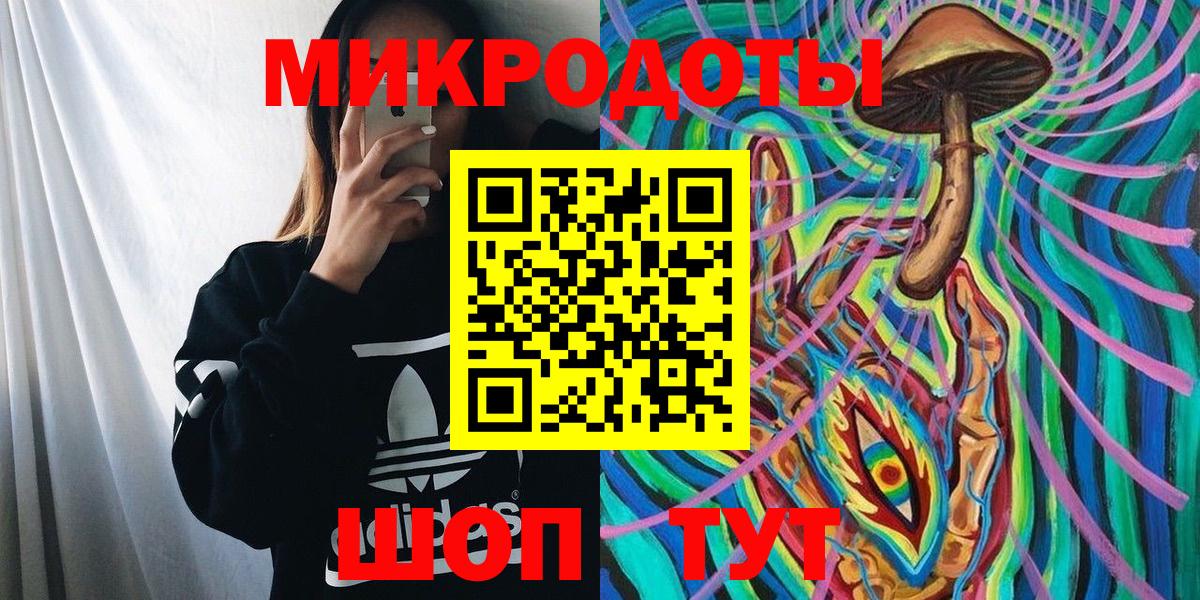 Псилоцибиновые грибы Psilocybine cubensis Шадринск